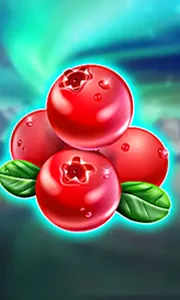 Winterberries